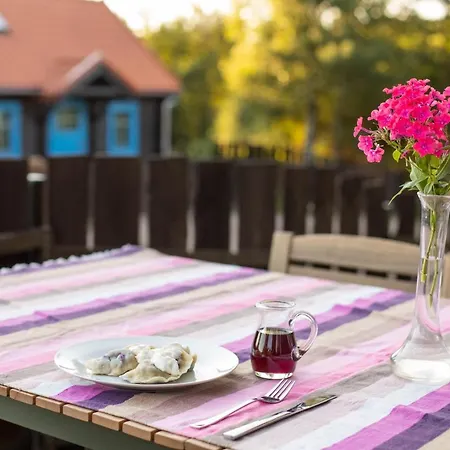 Lawendowe Pole - Lawendowy * Nowe Kawkowo